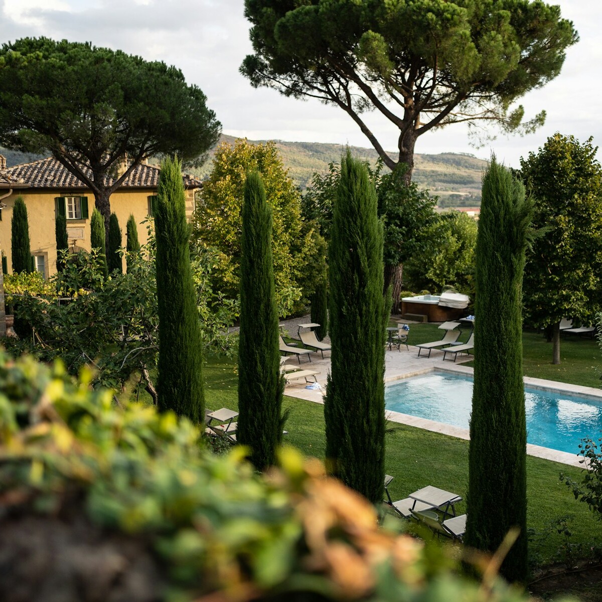 a house with a pool surrounded by trees