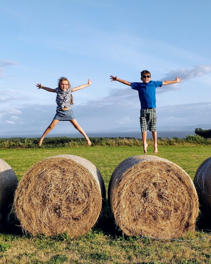 man in blue denim jeans standing on brown hays during daytime