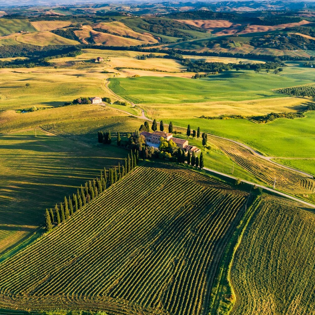 high-angle photography of green field at daytime