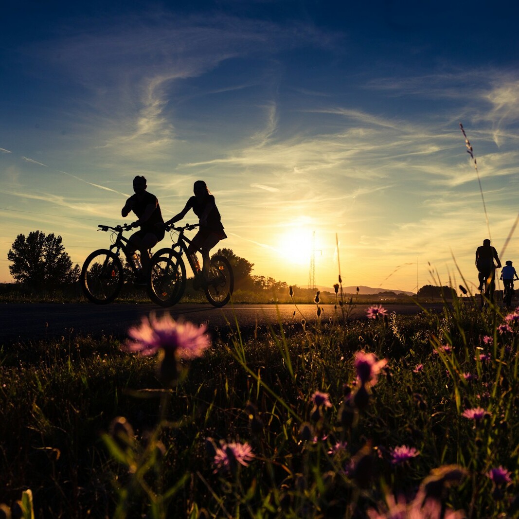 a couple of people riding bikes down a road