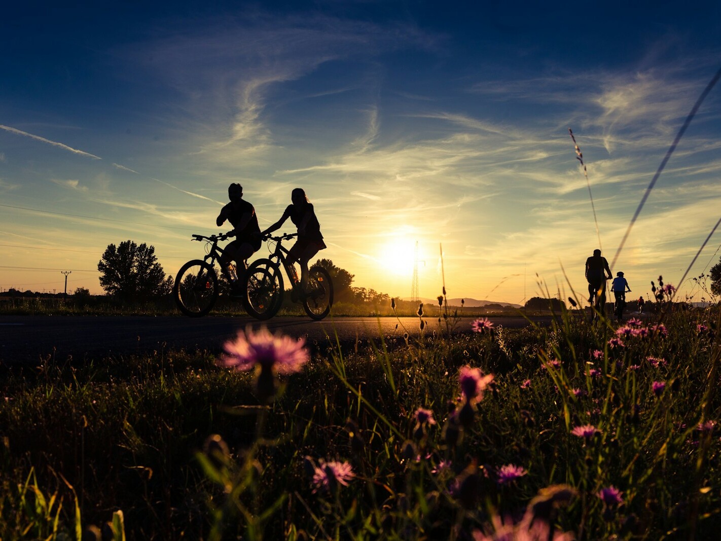 a couple of people riding bikes down a road