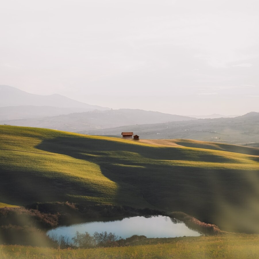 green grass field near lake under white sky during daytime